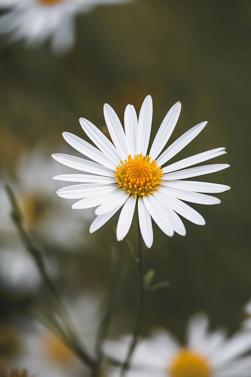 Terapia de crecimiento personal